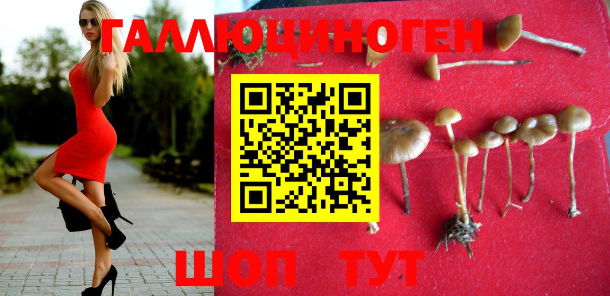 Галлюциногенные грибы прущие грибы Маркс